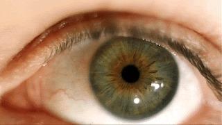 What's The Best Area To Live In Lisbon?